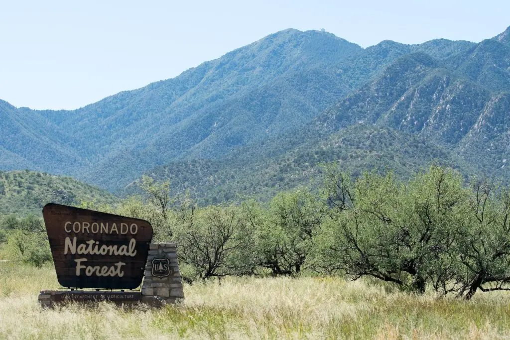 Greens win partial victory over AZ grazing suit