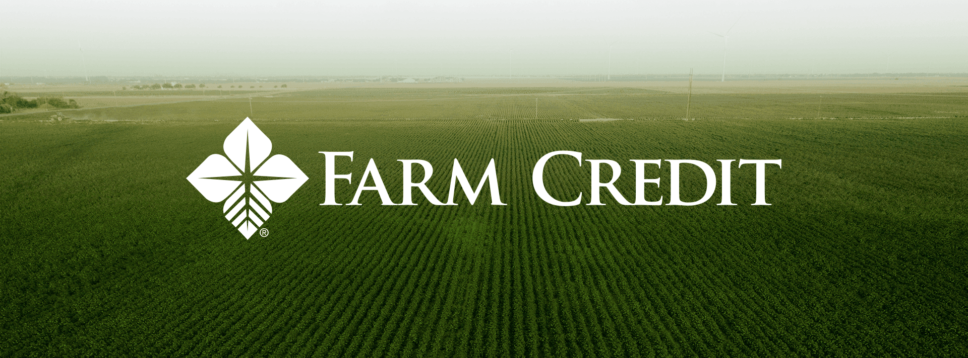 Farm Credit releases annual young farmer performance report