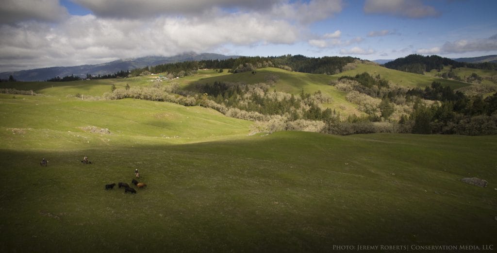What’s next: How a conservation easement can secure the future