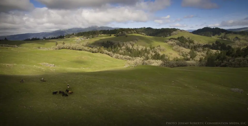 What’s next: How a conservation easement can secure the future