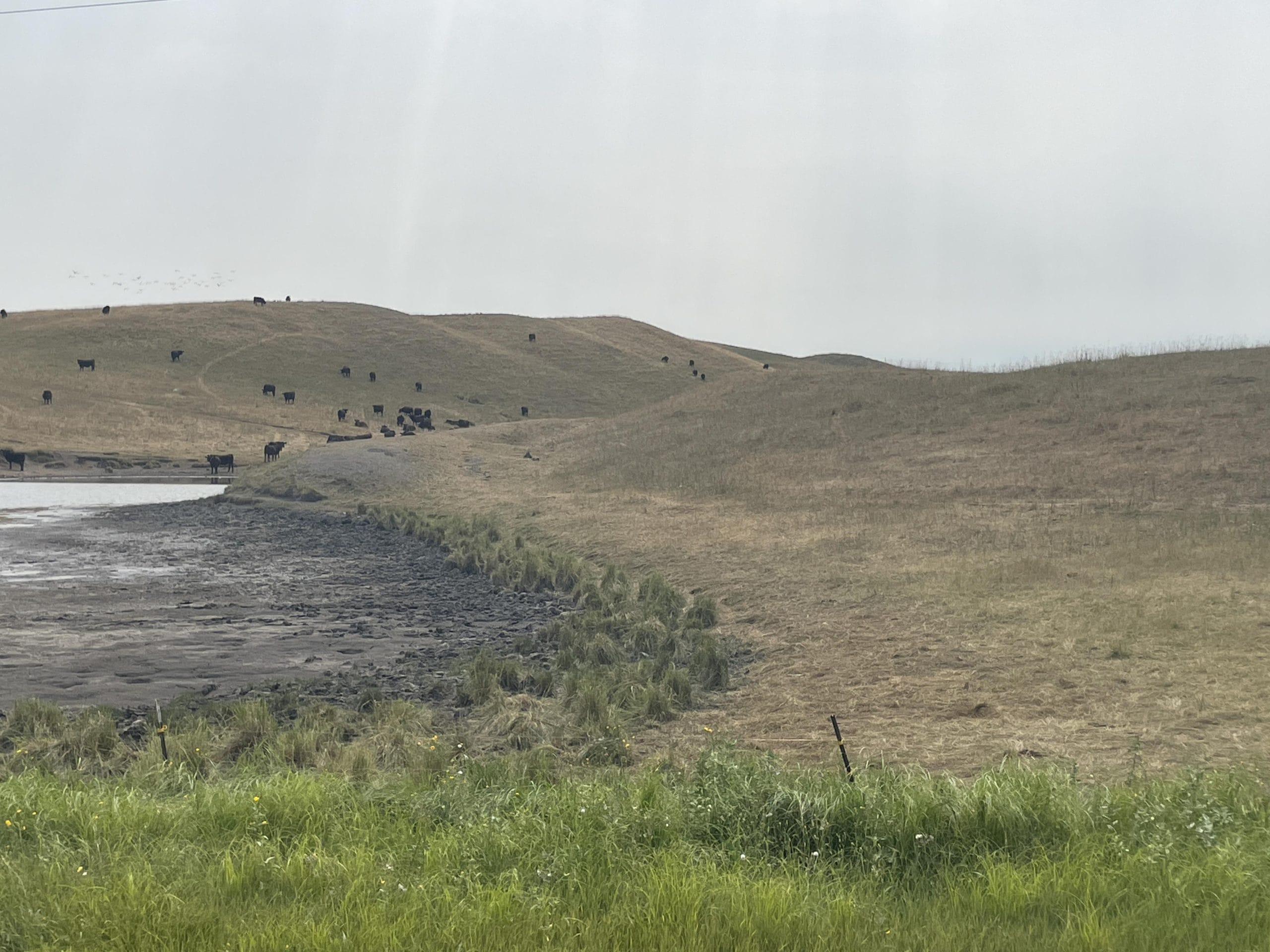 USDA boosts Regenerative Pilot Program funding