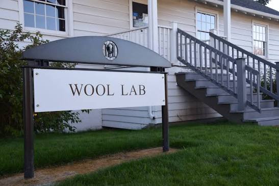 MSU launches a new Wool Lab to revive an old industry