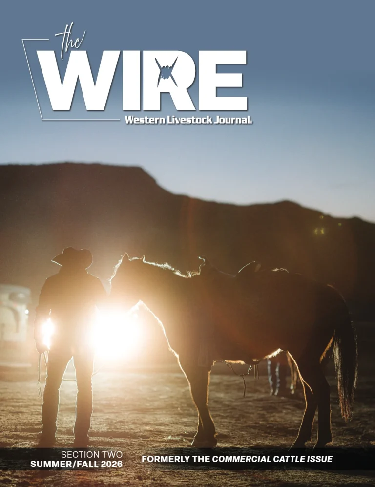 The Wire – Summer/Fall 2026 cover, August 17, 2026