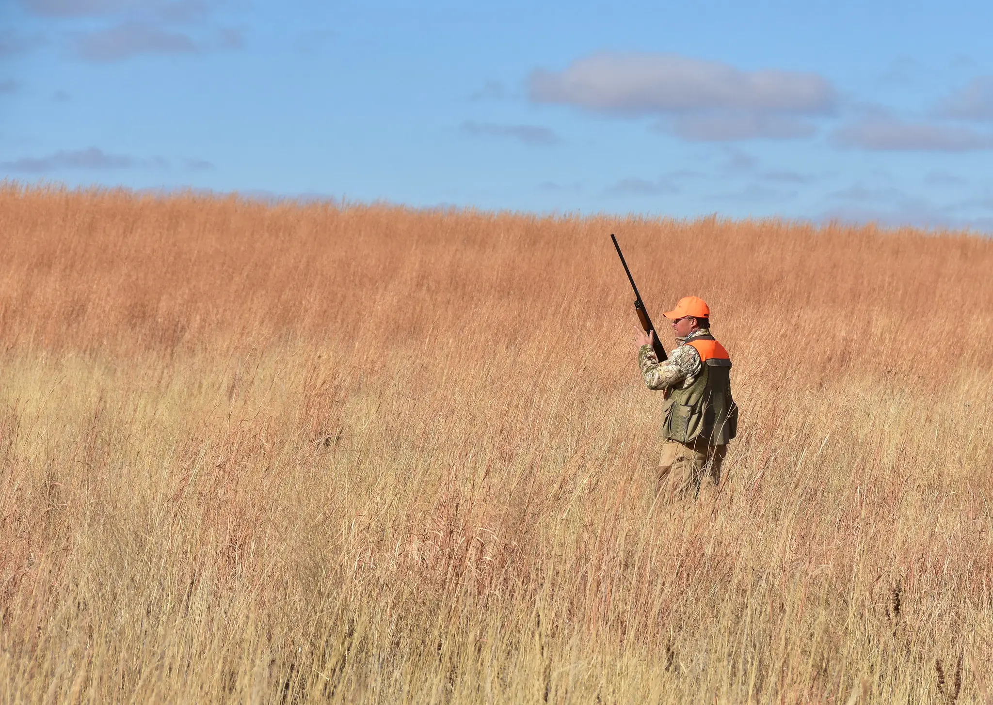 Interior streamlines migratory bird hunting