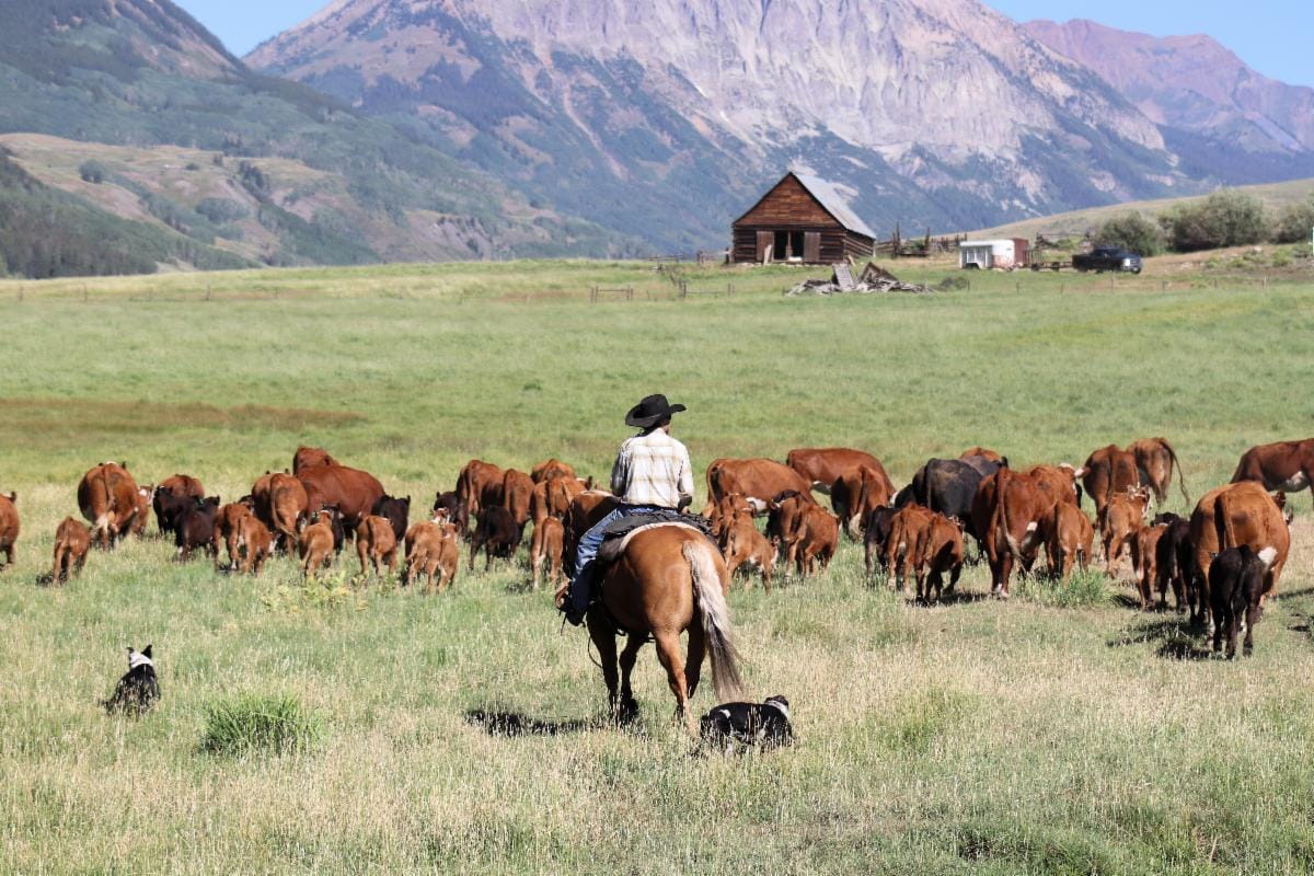 National Western launches Ranches of the West Heritage Award