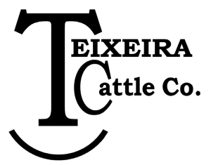 Teixeira Cattle Co