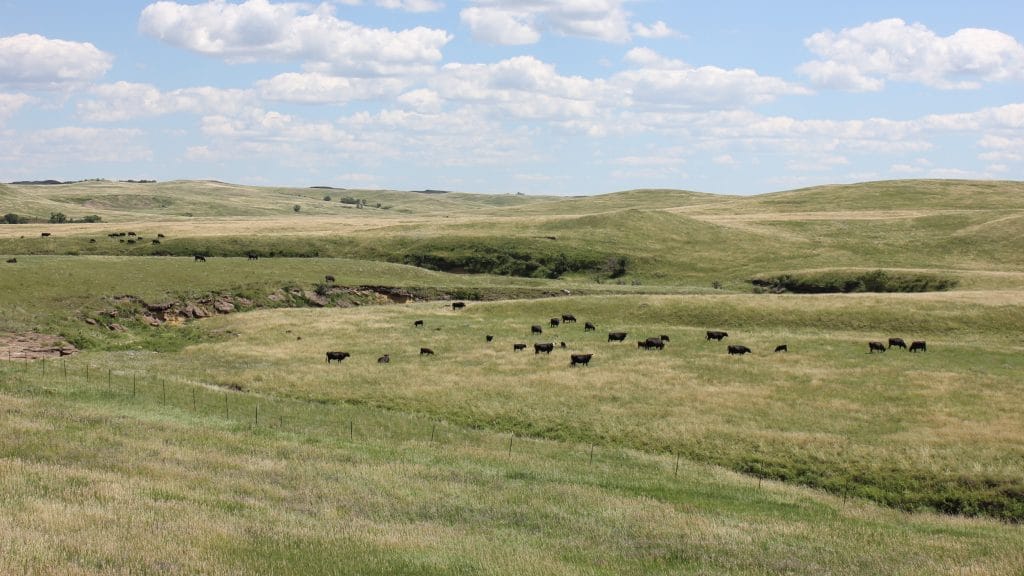 Interactive cow-calf record book now available