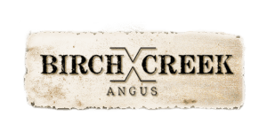 Birch Creek Angus