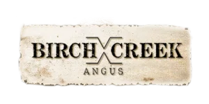Birch Creek Angus