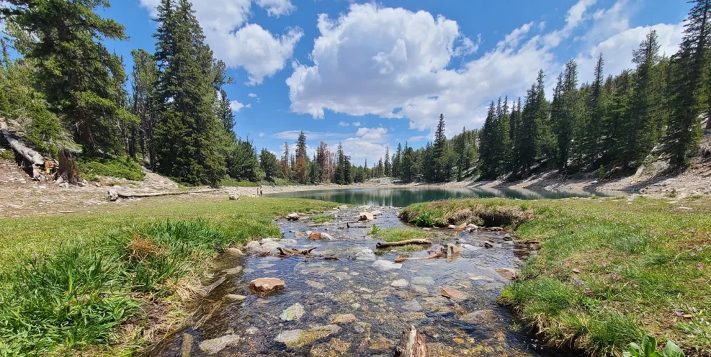 9th Circuit sides with ranchers in water rights dispute