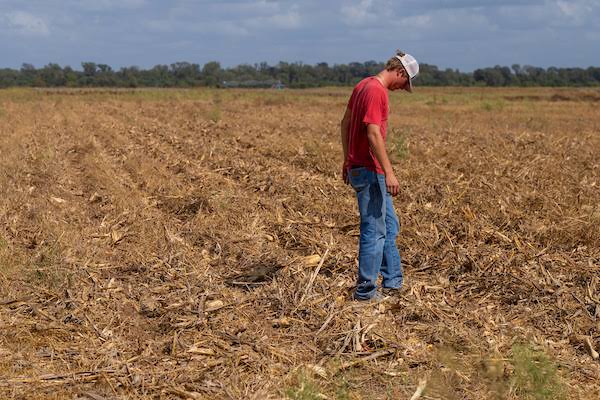 Super El Niño brings hope for moisture to drought-weary Texas