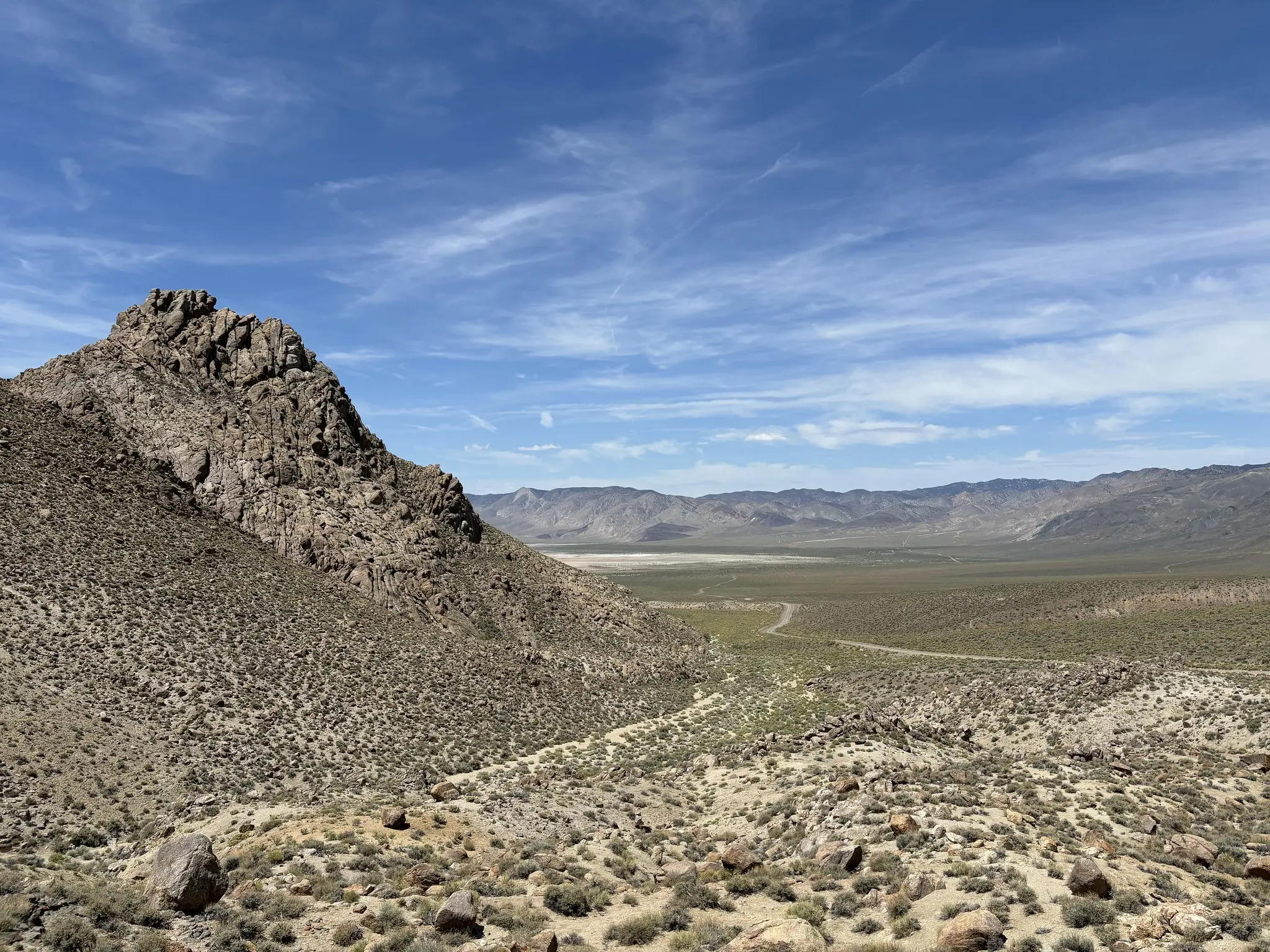 BLM proposes opening four NV grazing allotments