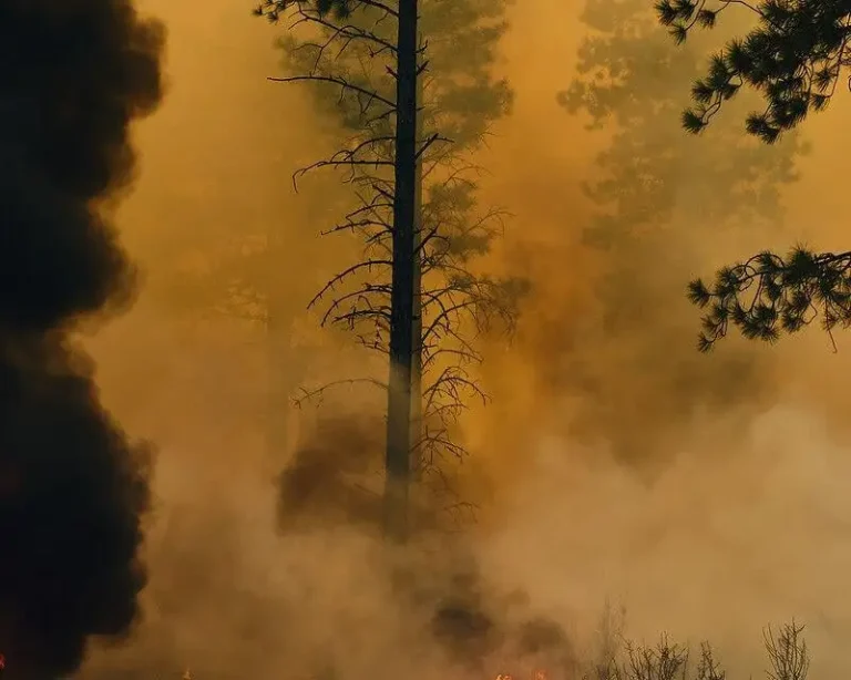 Oregon fire