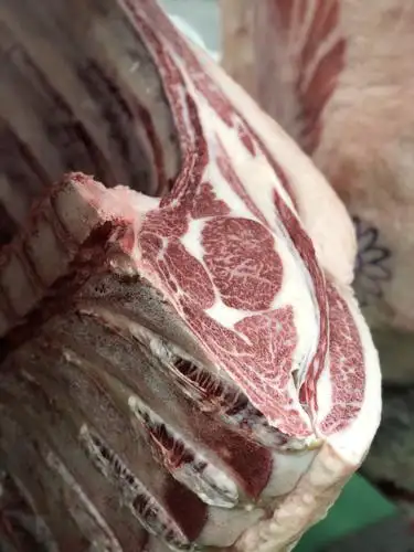 kobe beef