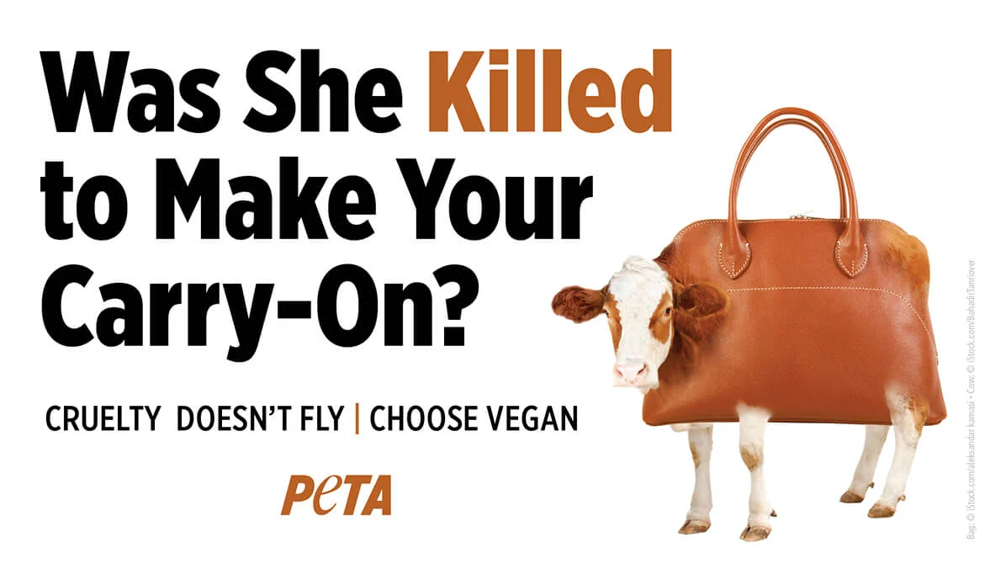 PETA sues WY airport over denied ad