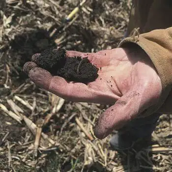 08 soil hand.jpg