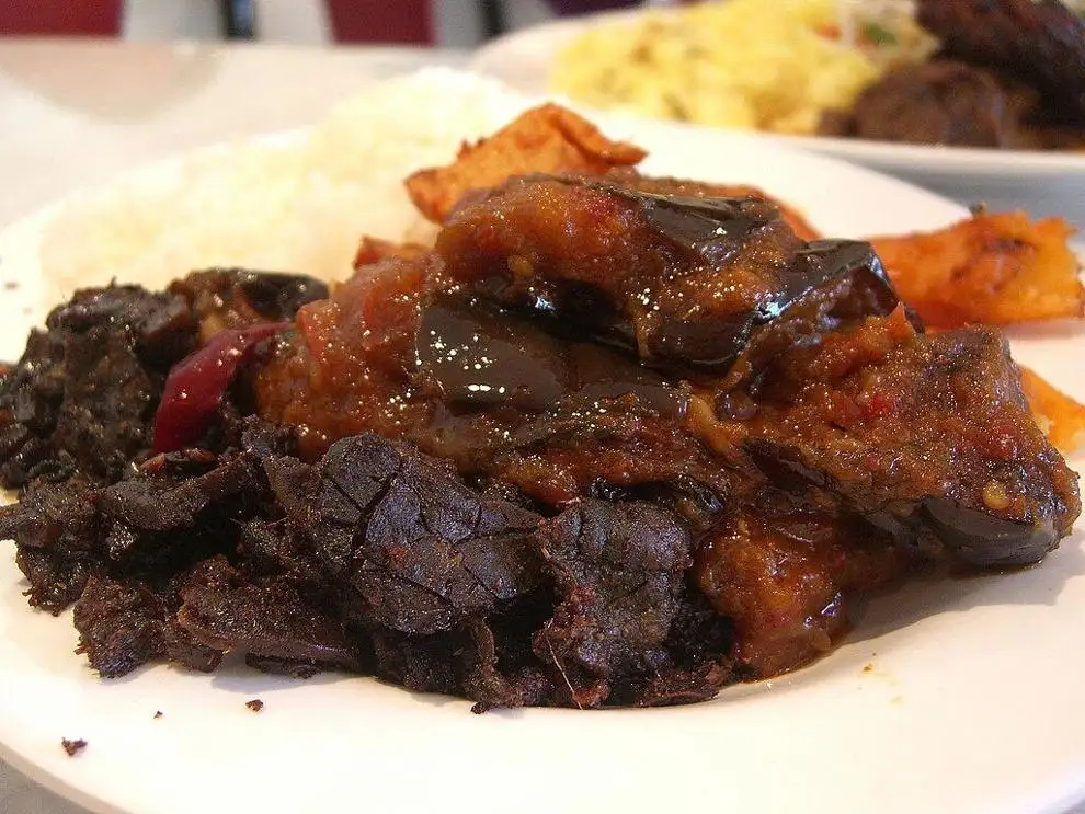 cow lungs