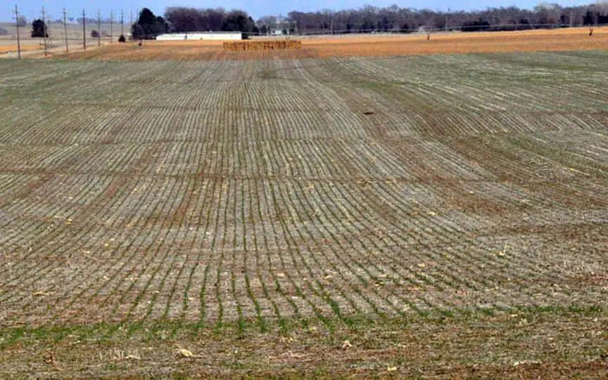 Planting cover crops still beneficial, even under dry conditions 