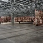 beef packer plant