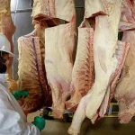 beef packer processor
