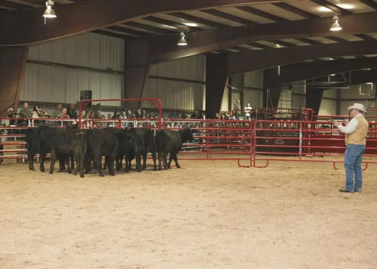 11 ra - livestock demo #4.jpg