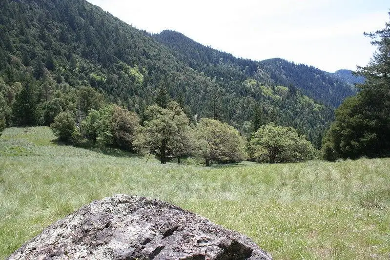 BLM Arcata Field Office land.
