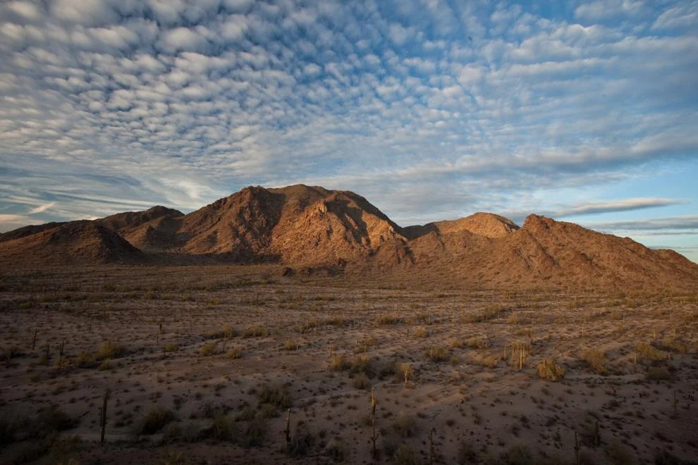 Sonoran Desert National Monument