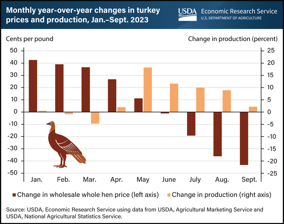 50 chart-turkey.png