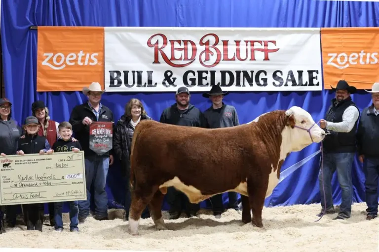 11 RB-SupremeBull.jpg