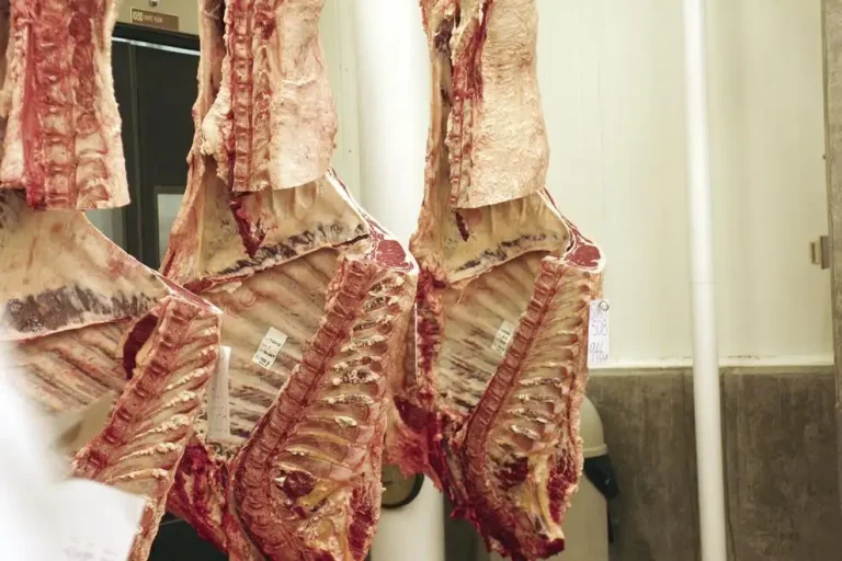 11 RA_Carcass.jpg