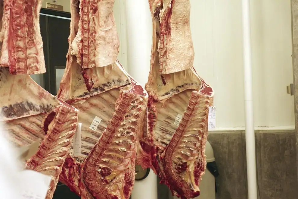 Guest Opinion: Red meat yield plus political news