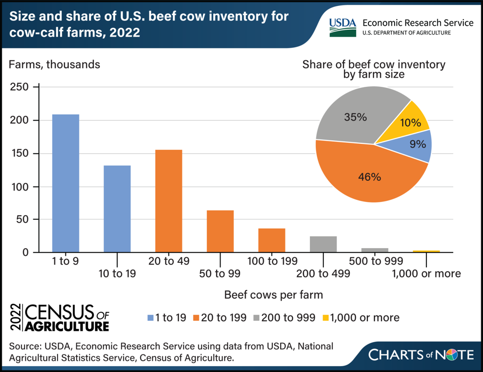 36 Chart-HerdSize.png