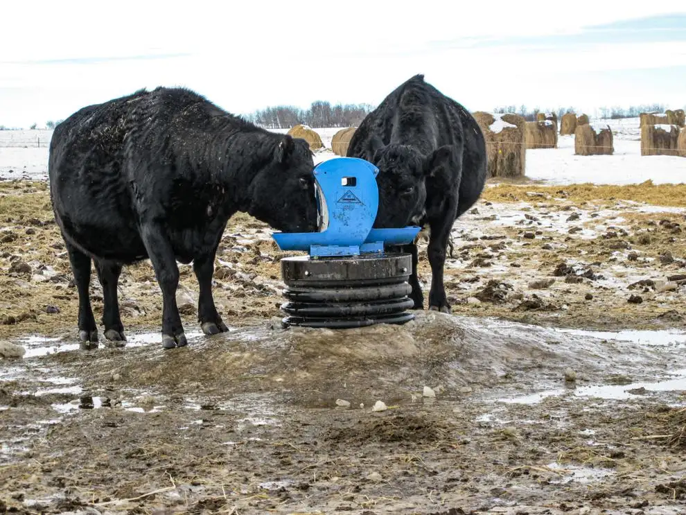 WinterDrink.jpg