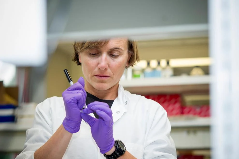 USDA shares 2026 research, grant priorities