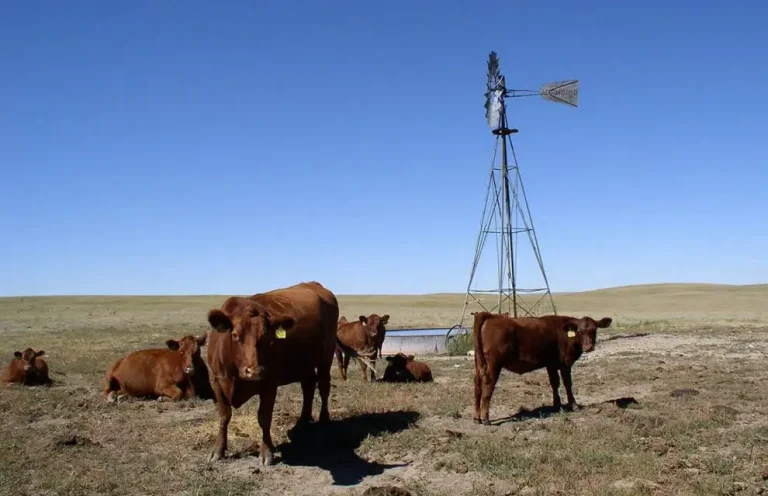 House and Senate set to resolve farm bill