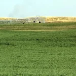 University of Nebraska looks at the economics of producing forage on cropland