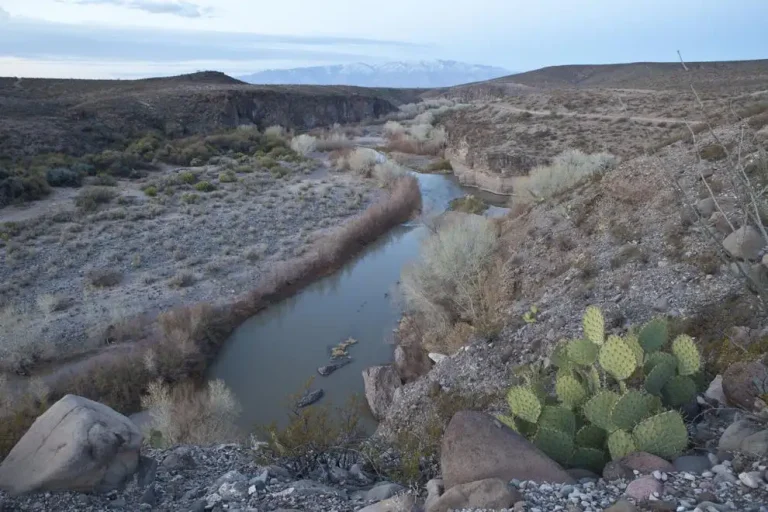 The Gila Box Riparian National Conservation Area.