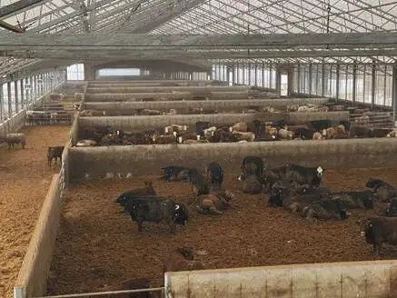10 OntarioFeeding.jpg