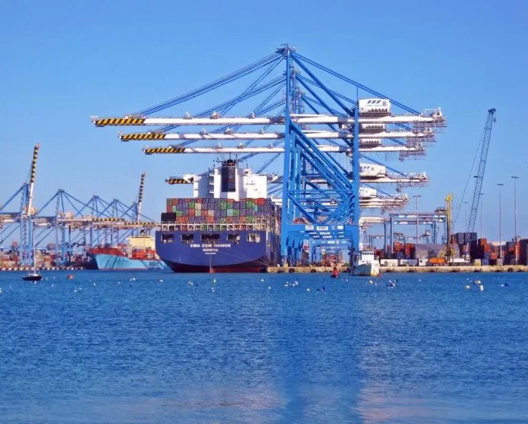 Beef reaches China by sea