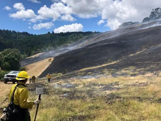 California’s first Prescribed Burn Association