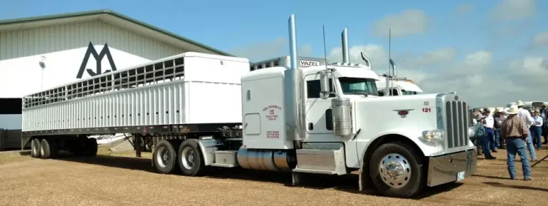Livestock trailer at Yazel Land and Cattle