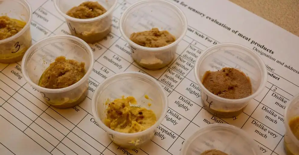 meat-based hummus