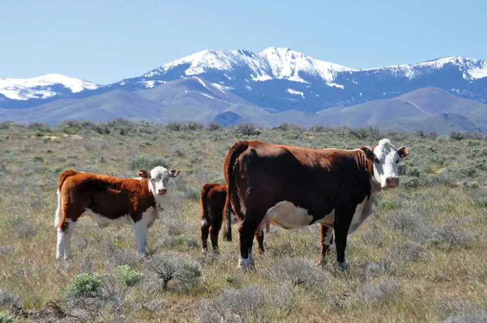 Guest Opinion: Idaho just restored the property line