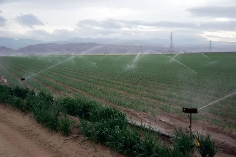 House votes down farm bill