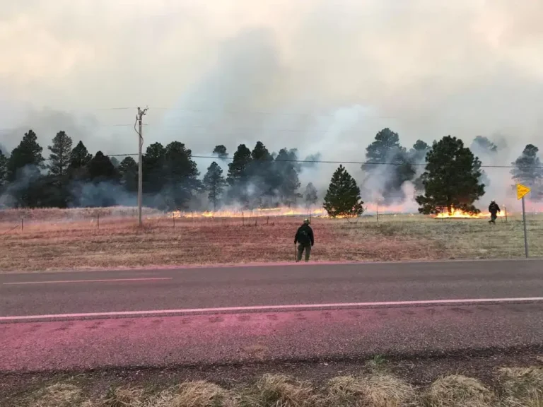 nm fires