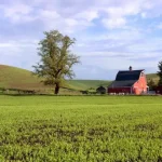 farmland - test image