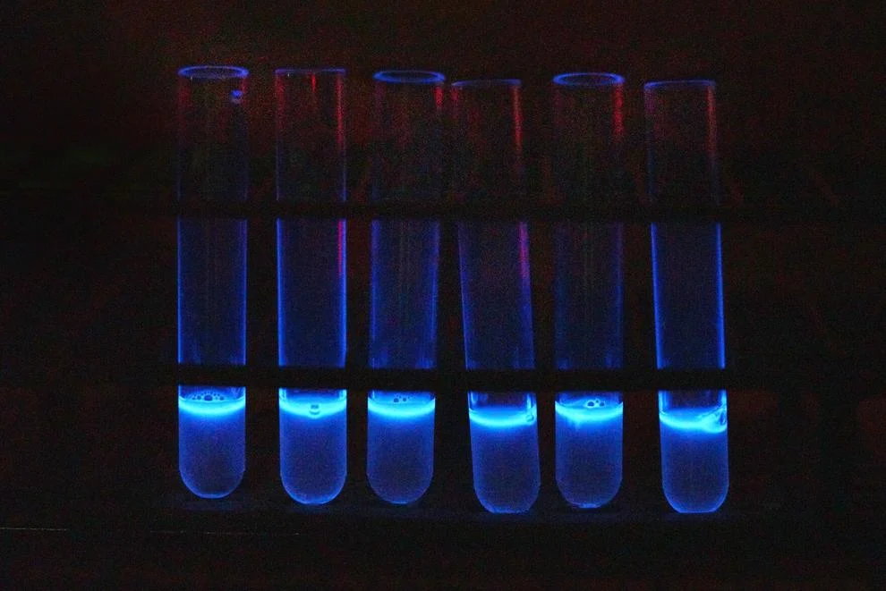 14 e coli.JPG