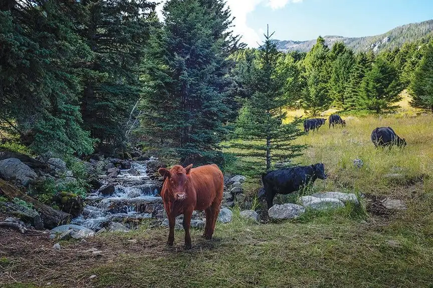 intermountain