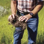 2 Soil Structure.jpg