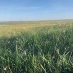 12 grazing season.jpg
